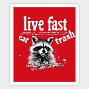 Live Fast Eat Trash Magnet